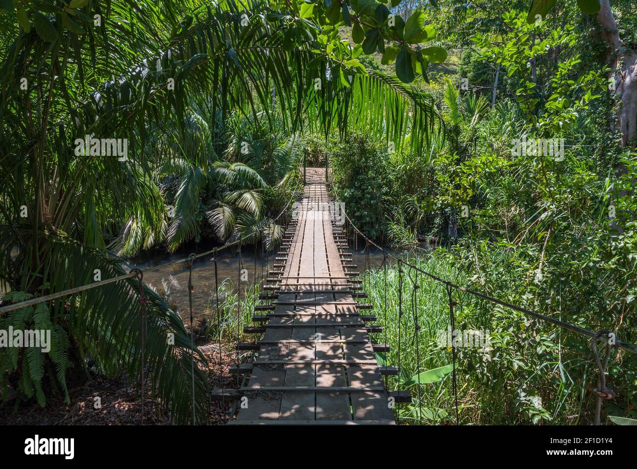 Hängebrücke im natürlichen Regenwald Park, Drake Bay Costa Rica Stockfoto