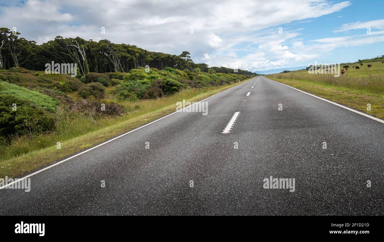 Straße, die in die Entfernung führt (gekippt). Aufgenommen an sonnigen Tagen an der Westküste Neuseelands Stockfoto