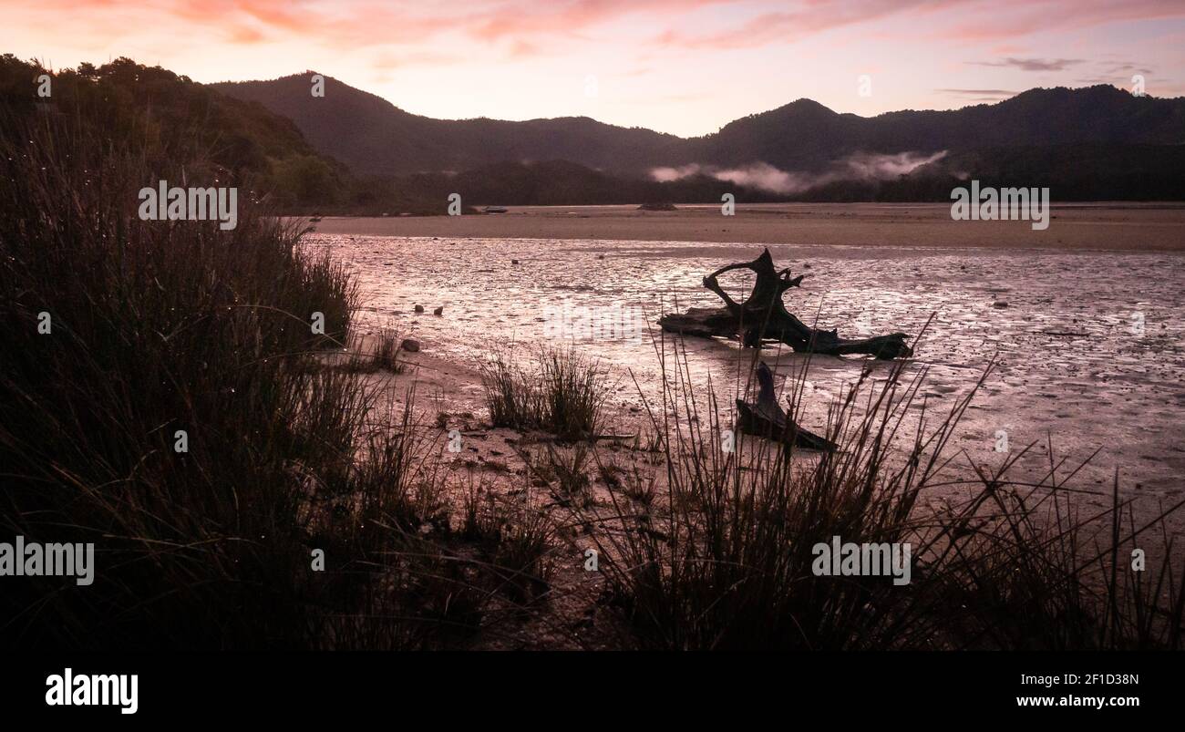 Roter Sonnenuntergang Landschaft Landschaft in tropischen Einlass/Bucht mit verlassenen Holz in Rahmen. Gedreht im Abel Tasman National Park, Neuseeland Stockfoto