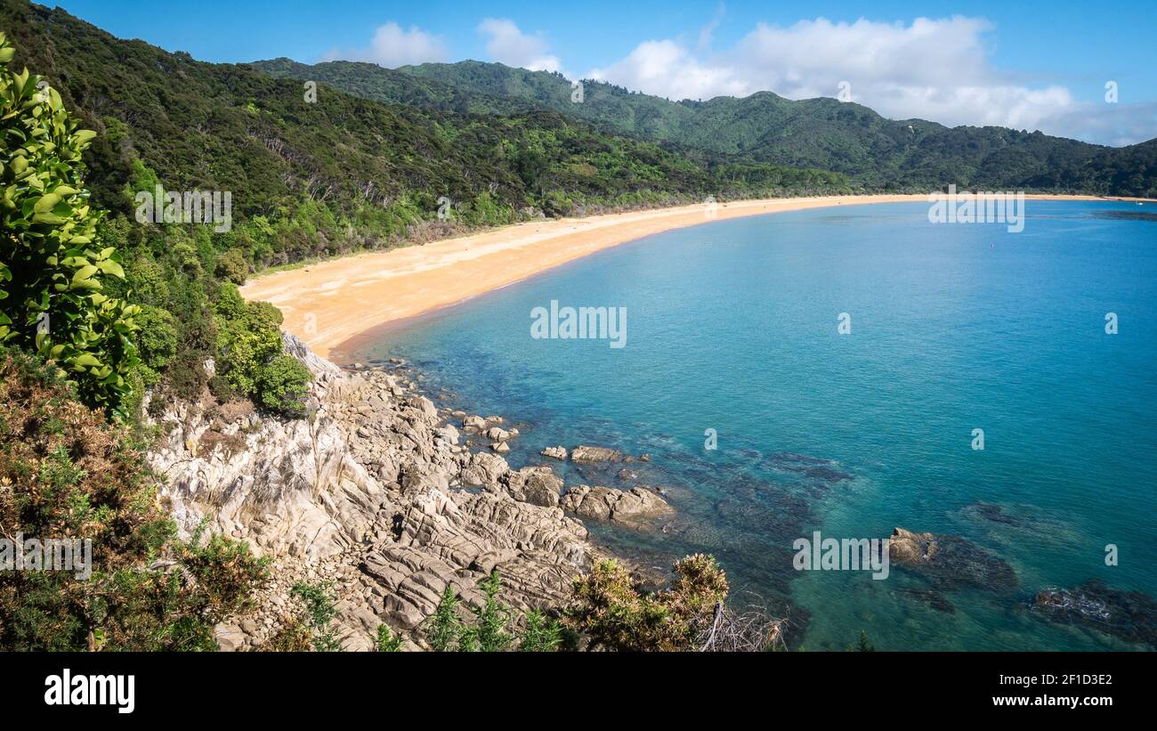 Blick auf den tropischen Strand mit goldenem Sand und azurblauem Wasser. Landschaftsaufnahme im Abel Tasman National Park, Neuseeland Stockfoto