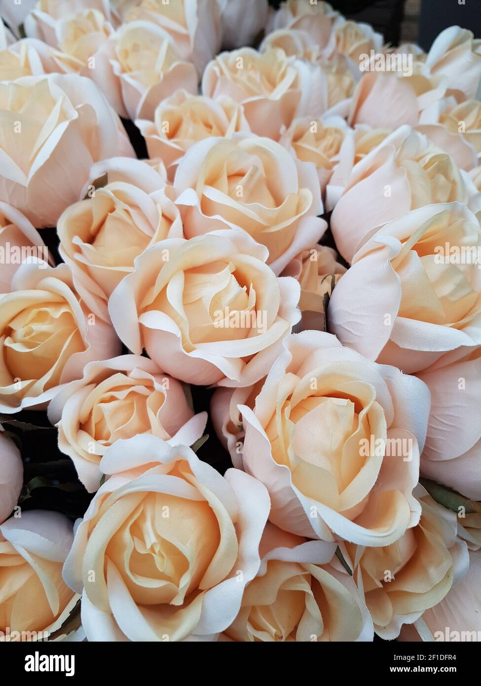 Luxus Strauß roter Rosen in Flower Shop Valentinstag Blumenstrauß aus roten Rosen Stockfoto