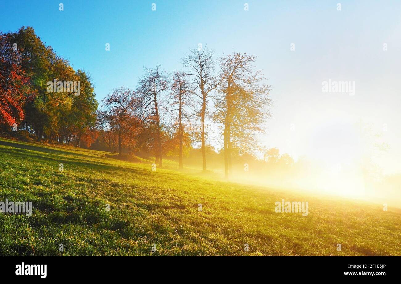 Schwarzwald im Herbst - Morgensonne Panorama Stockfoto