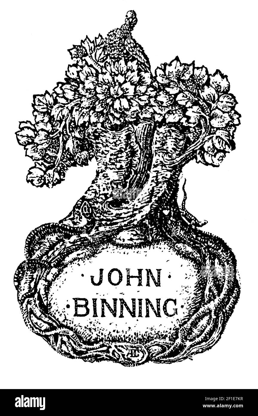 Eidechse auf Trun des Baumes mit Wurzeln schaffen Rahmen Exlibris Entworfen für John Binning von Joseph W Simpson Stockfoto
