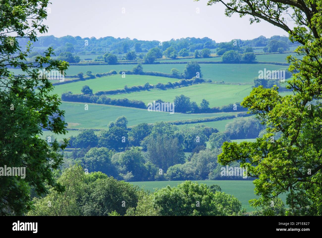 Cotswolds Landschaft in der Nähe von großen Tew, Oxfordshire, England, Vereinigtes Königreich Stockfoto