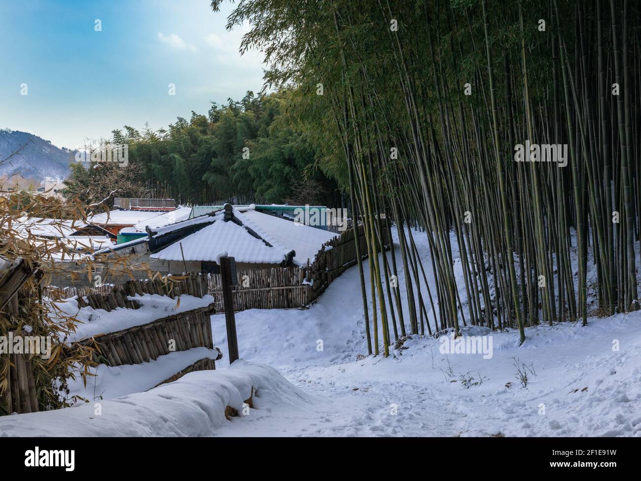 Bambuswald und verschneiten ländlichen Dorf, Winterlandschaft in Südkorea. Stockfoto