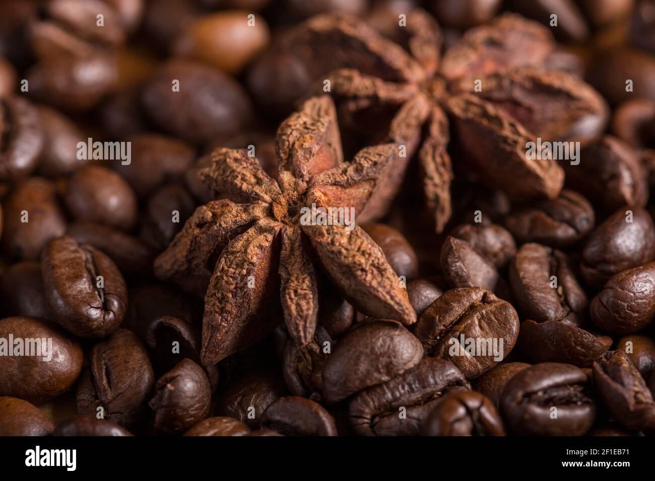 Makro von Sternanis und gerösteten Kaffeebohnen. Köstliches Getränk. Perfekte Kombination. Stockfoto