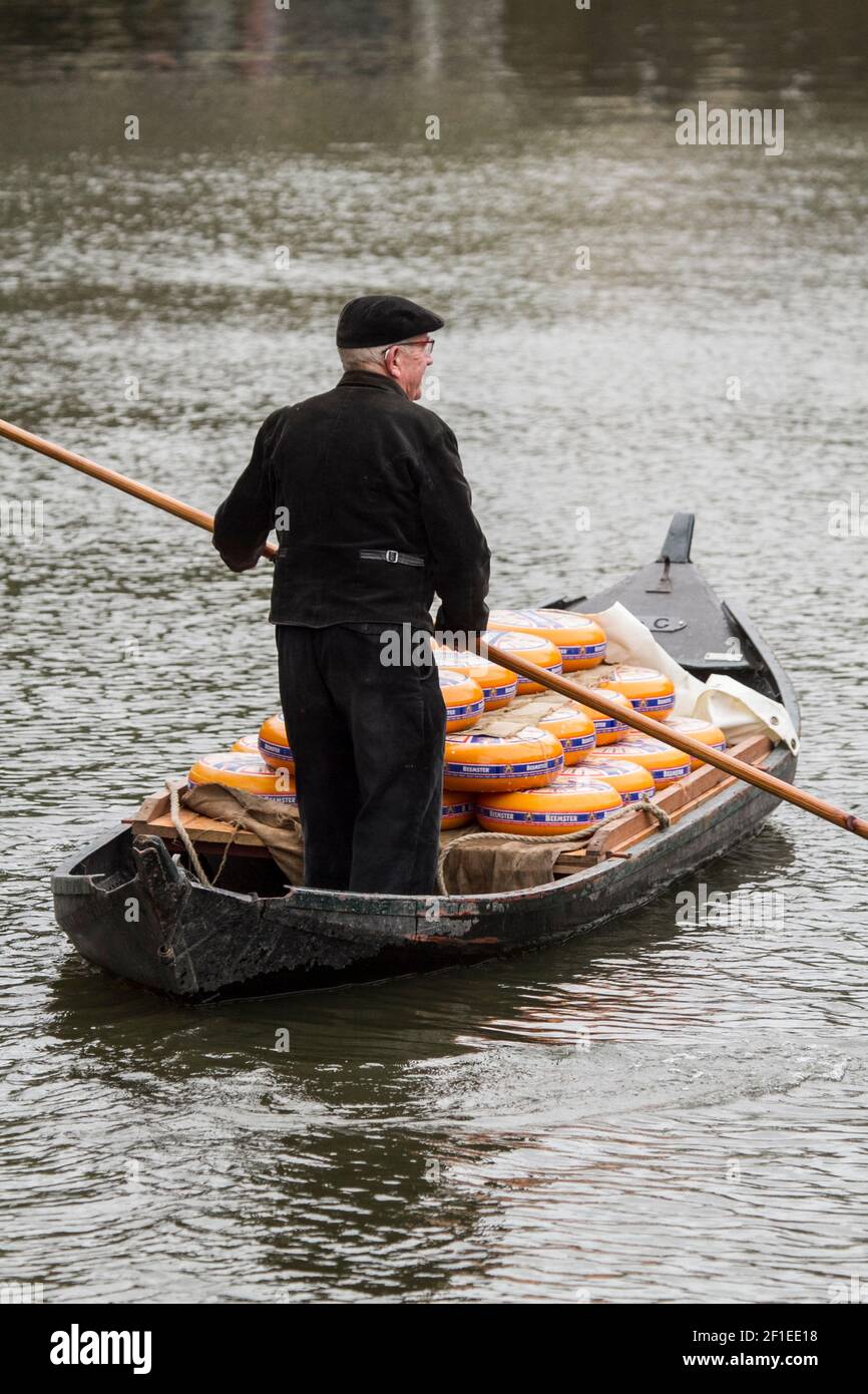 Niederlande, Nordholland, Alkmaar. Mann liefert gelbe Räder von holländischem Käse, mit dem Boot zum Käsemarkt. Stockfoto
