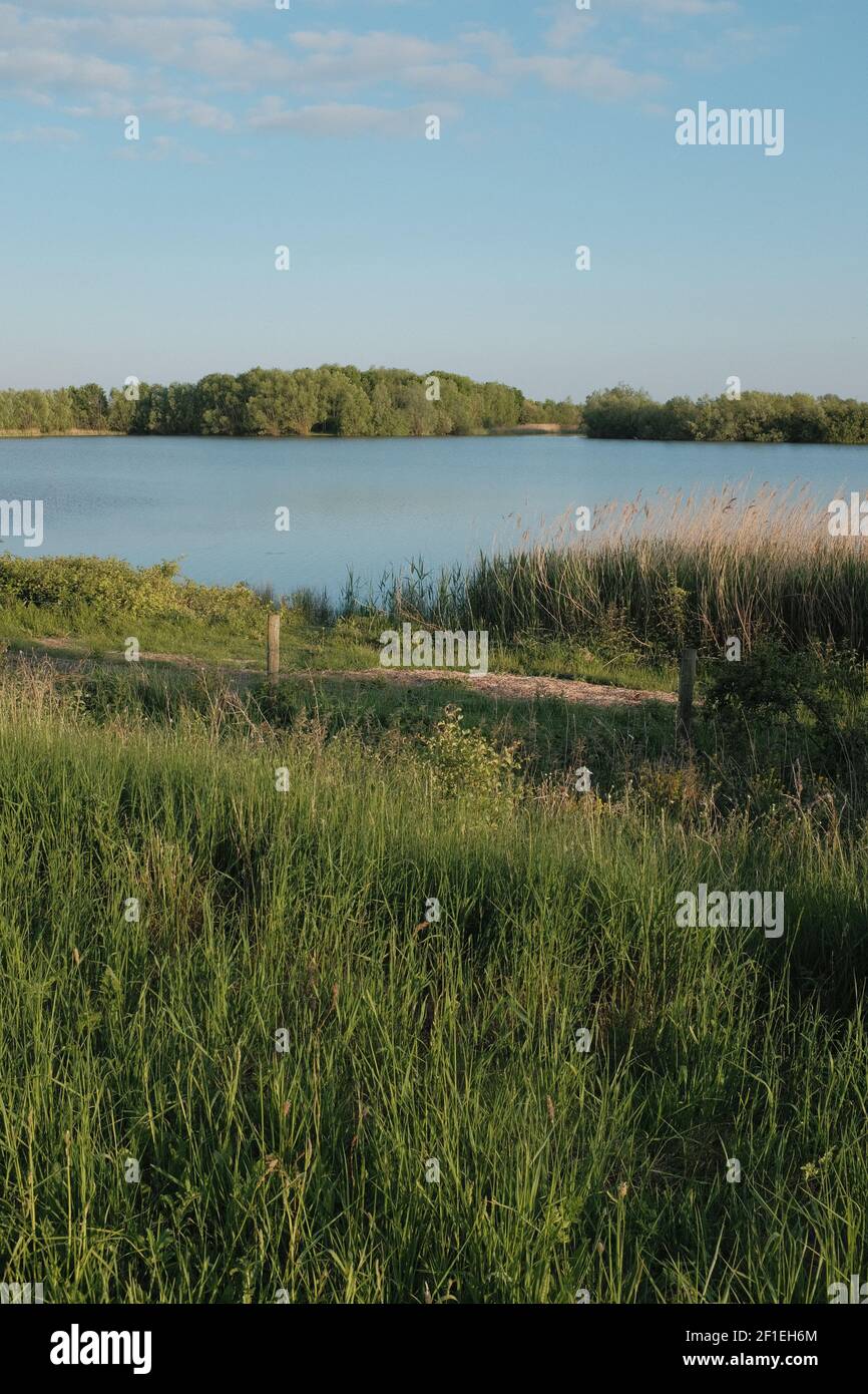 Fen Drayton Seen Naturschutzgebiet in Cambridgeshire, England. Blaues Wasser und klarer sonniger Himmel. Stockfoto