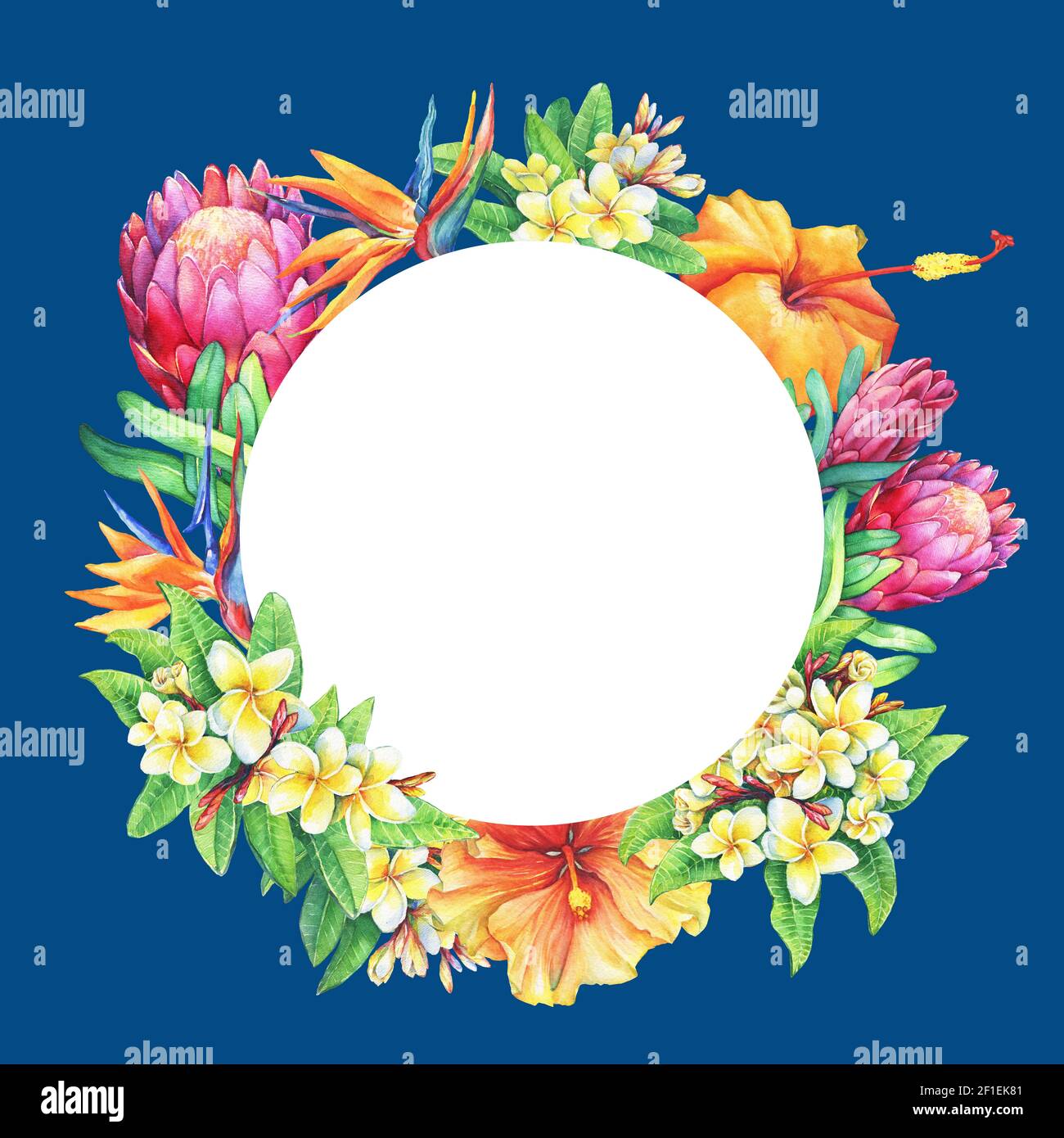 Runder Rahmen mit Zweigen lila protea, Plumeria, strelitzia und Hibiskus tropischen Blumen. Handgezeichnetes Aquarell auf blauem Hintergrund. Stockfoto