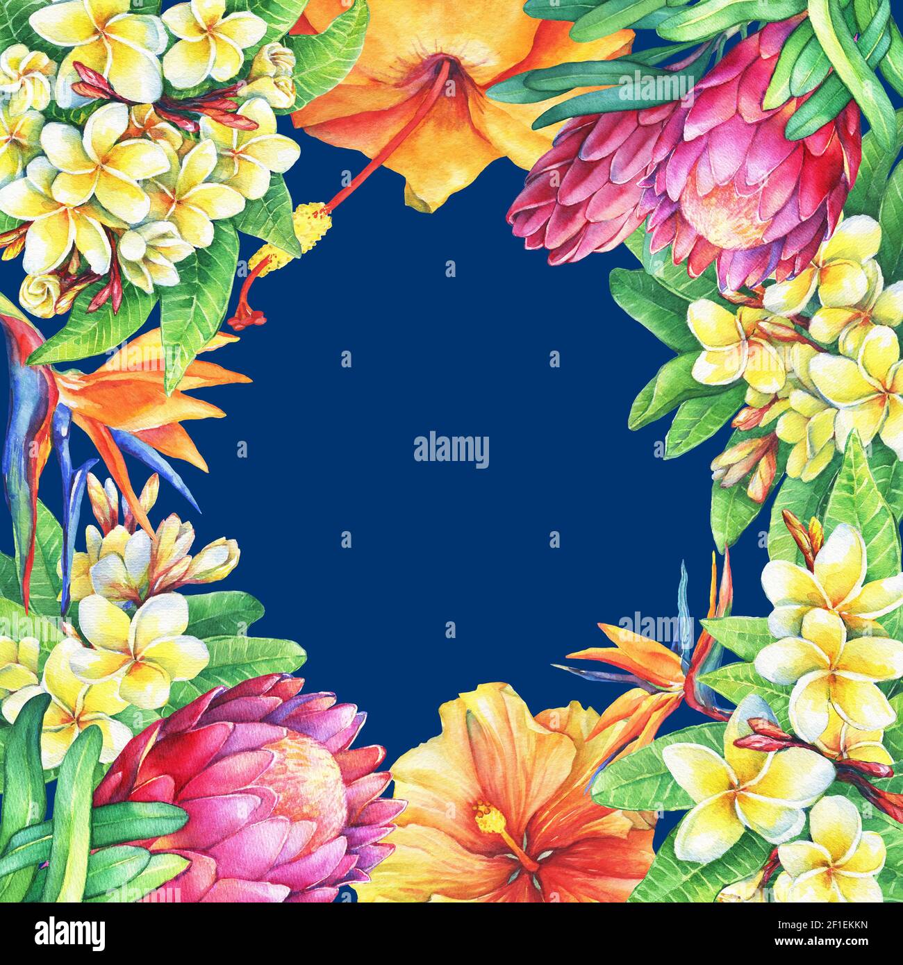 Quadratische Rahmen Zweige lila protea, Plumeria, strelitzia und Hibiskus tropischen Blumen. Handgezeichnetes Aquarell auf blauem Hintergrund. Stockfoto