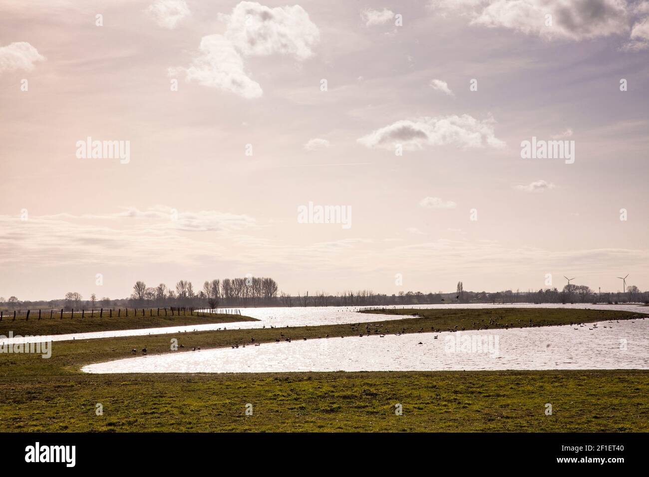 Überflutete Wiesen im Naturschutzgebiet Bislicher Insel am Niederrhein bei Xanten, Auenlandschaft, alter Rheinarm, Nordrhein-Westp Stockfoto
