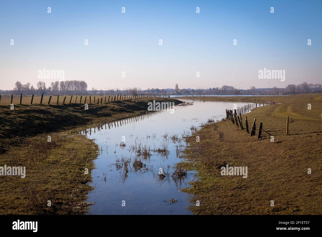 Überflutete Wiesen im Naturschutzgebiet Bislicher Insel am Niederrhein bei Xanten, Auenlandschaft, alter Rheinarm, Nordrhein-Westp Stockfoto