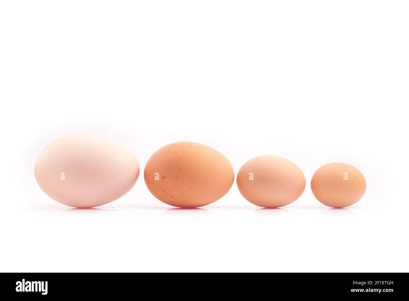 Eier - vier Hühnereier in verschiedenen Größen aufgereiht, sortiert nach Größe, isoliert auf weißem Hintergrund Stockfoto
