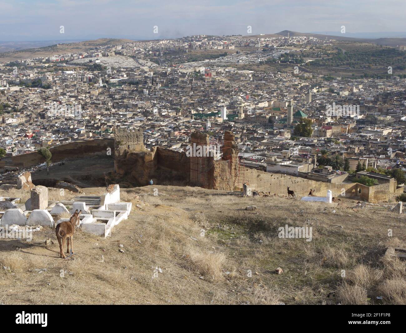 Allgemeine Szenen von Menschen und Orten in der Stadt FEZ im nordafrikanischen Land Marokko Stockfoto