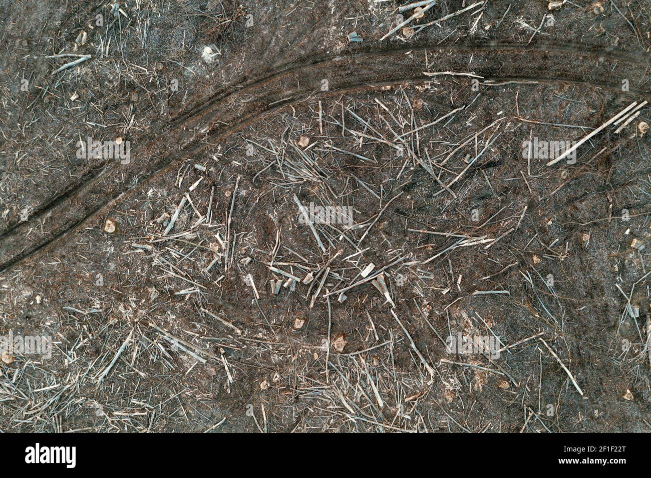 Luftaufnahme der Entwaldung Landschaft, Baumstämme und Baumstümpfe auf dem Boden von Drohne pov, Umweltschäden Hintergrund Stockfoto