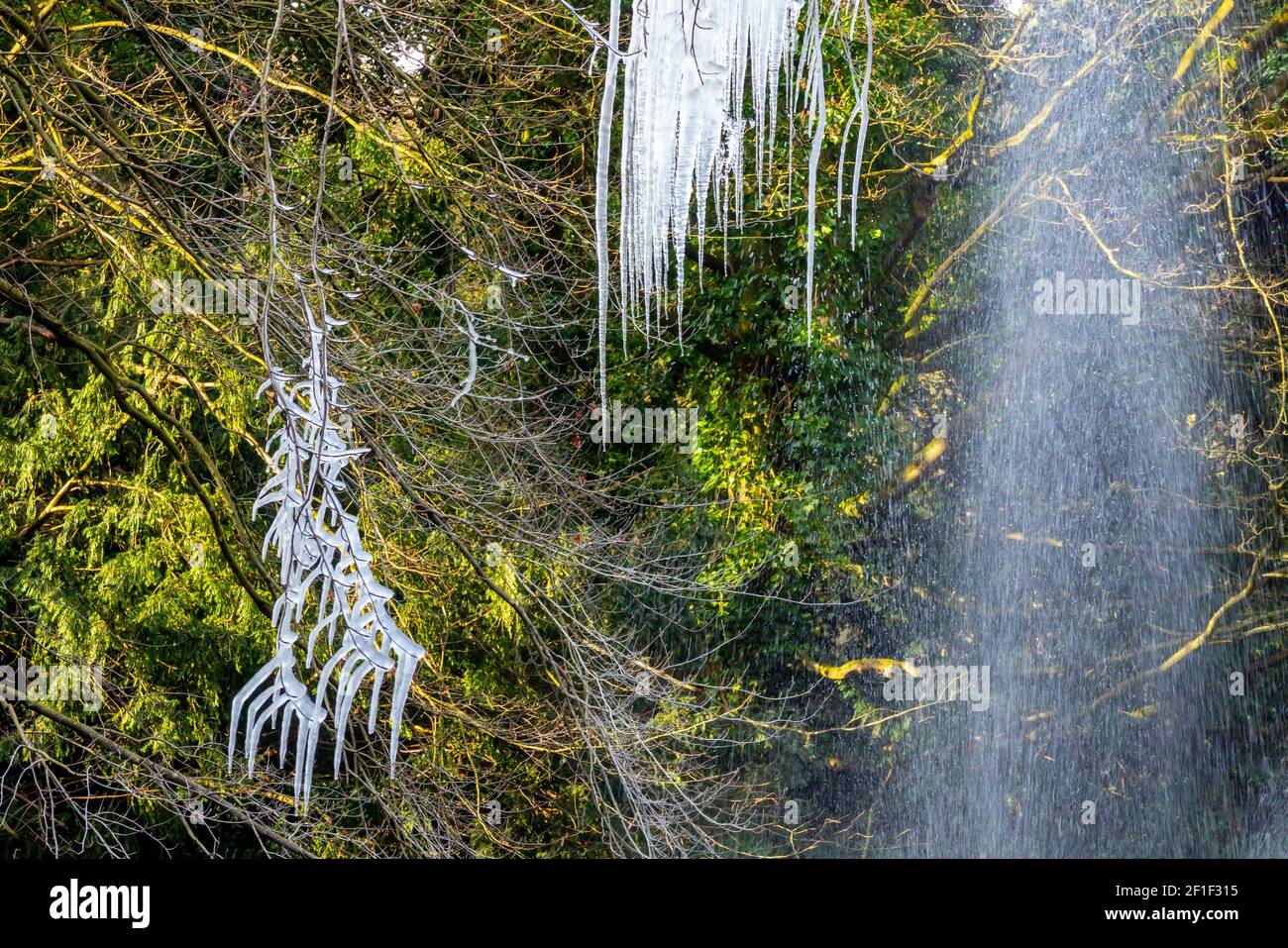 Blick auf Eiszapfen in Ästen von Bäumen durch Wassertröpfchen aus einem Zierbrunnen bei kaltem Wetter eiskalt verursacht. Stockfoto