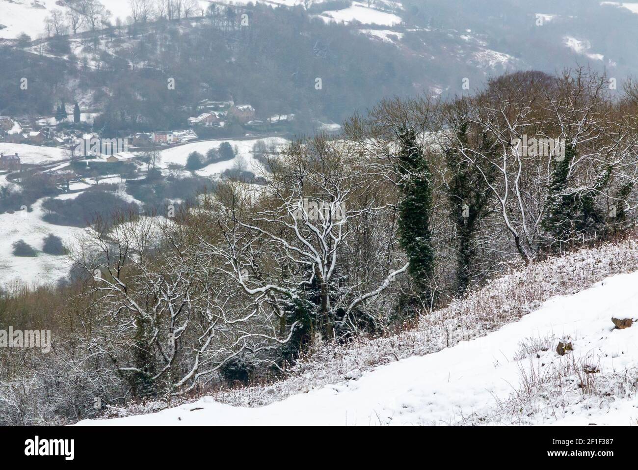 Schneebedeckte Landschaft mit Bäumen in der Nähe von Matlock Bath in der Derbyshire Peak District England Großbritannien Stockfoto
