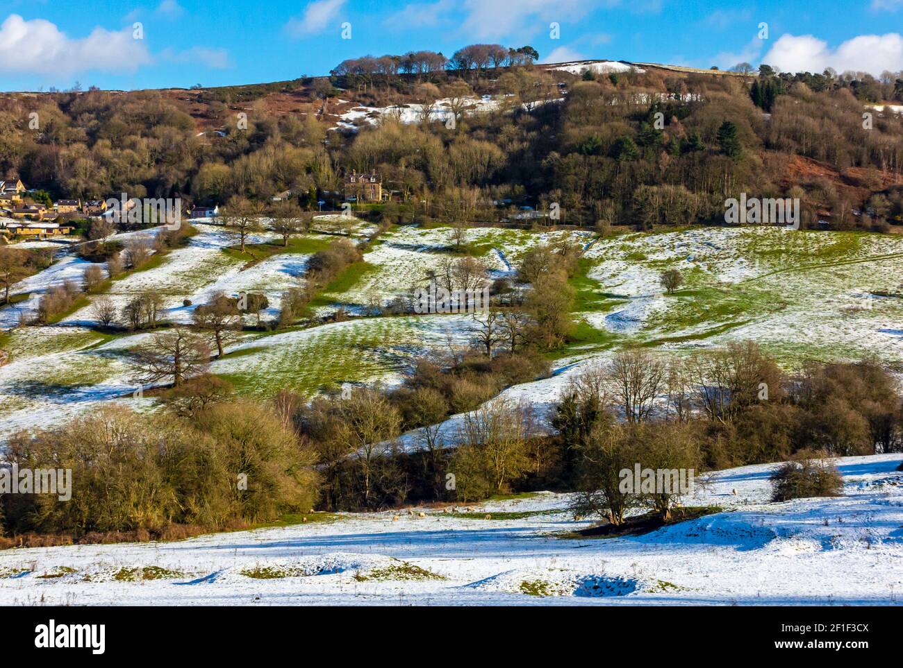 Schneebedeckte Landschaft mit Bäumen bei Starkholmes in der Nähe von Matlock Bath Im Derbyshire Peak District England Stockfoto