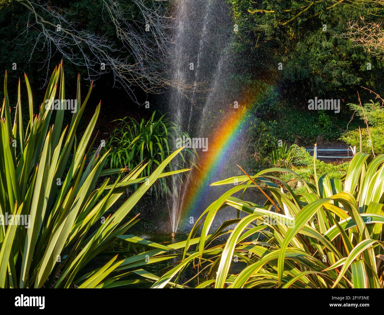 Regenbogen verursacht durch Brechung von Wassertröpfchen aus einer Zierpflanze Brunnen in Derwent Gardens Matlock Bath Derbyshire Peak District England VEREINIGTES KÖNIGREICH Stockfoto