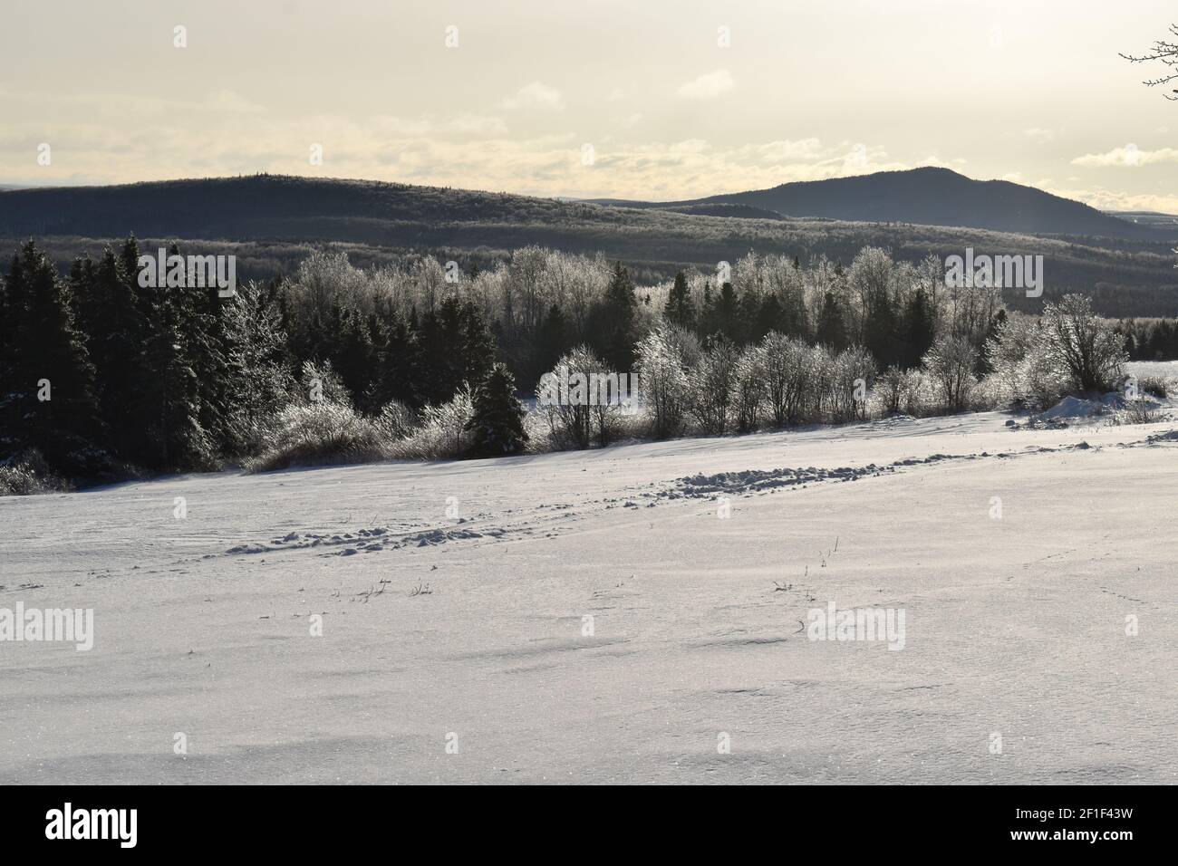 UN givre un matin de décembre, Sainte-Apolline, Québec Stockfoto