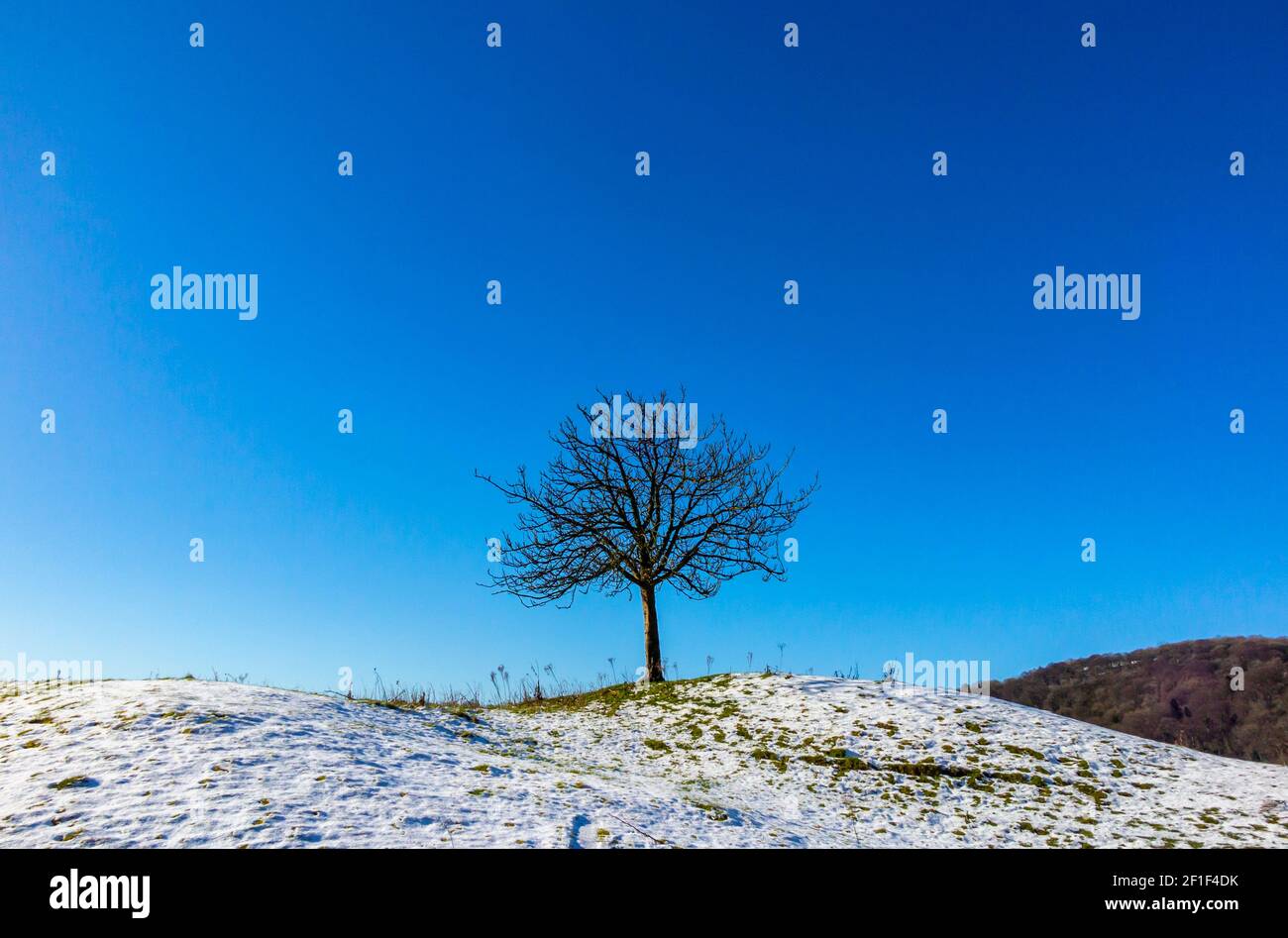 Schneebedeckte Landschaft mit Baum und klarem blauen Himmel Starkholmes in der Nähe von Matlock Bath im Derbyshire Peak District England VEREINIGTES KÖNIGREICH Stockfoto