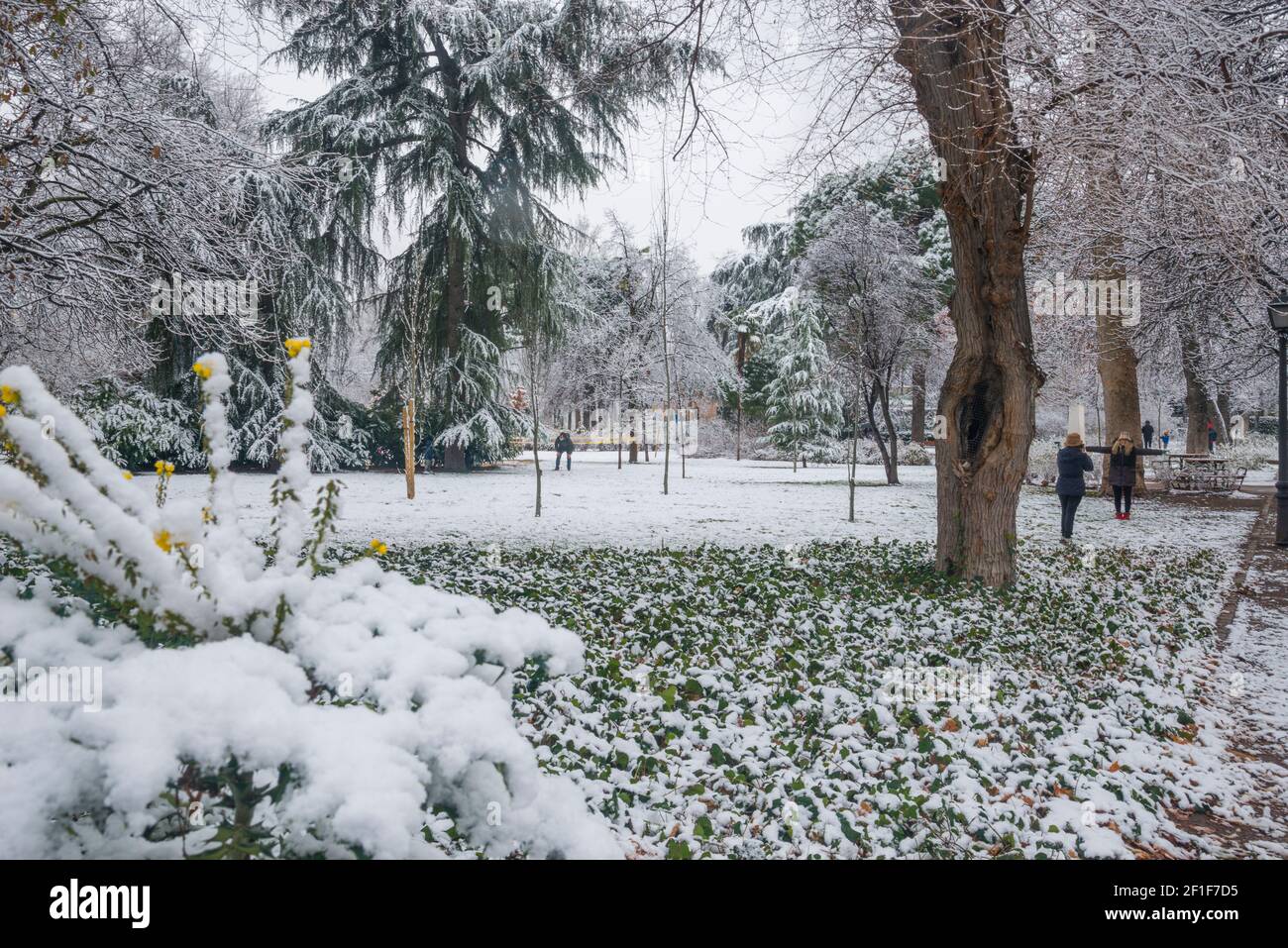 Schneebedeckte Retiro-Park. Madrid, Spanien. Stockfoto