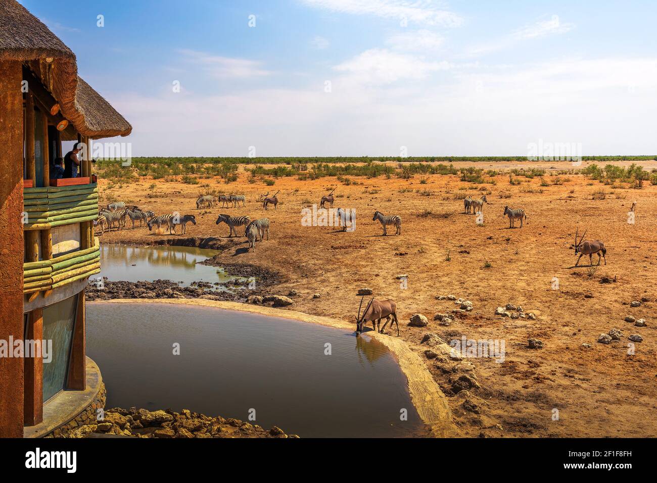 Touristen beobachten Wildtiere im Etosha National Park, Namibia Stockfoto