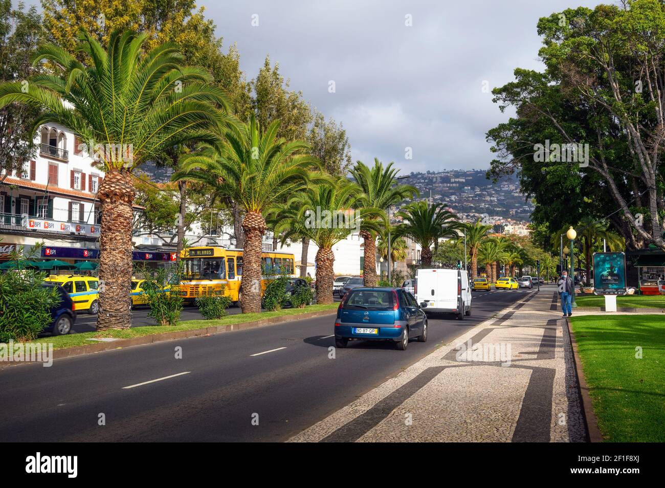 Avenida do Mar Straße mit Verkehr und einer Palmenallee in Funchal, Madeira Stockfoto