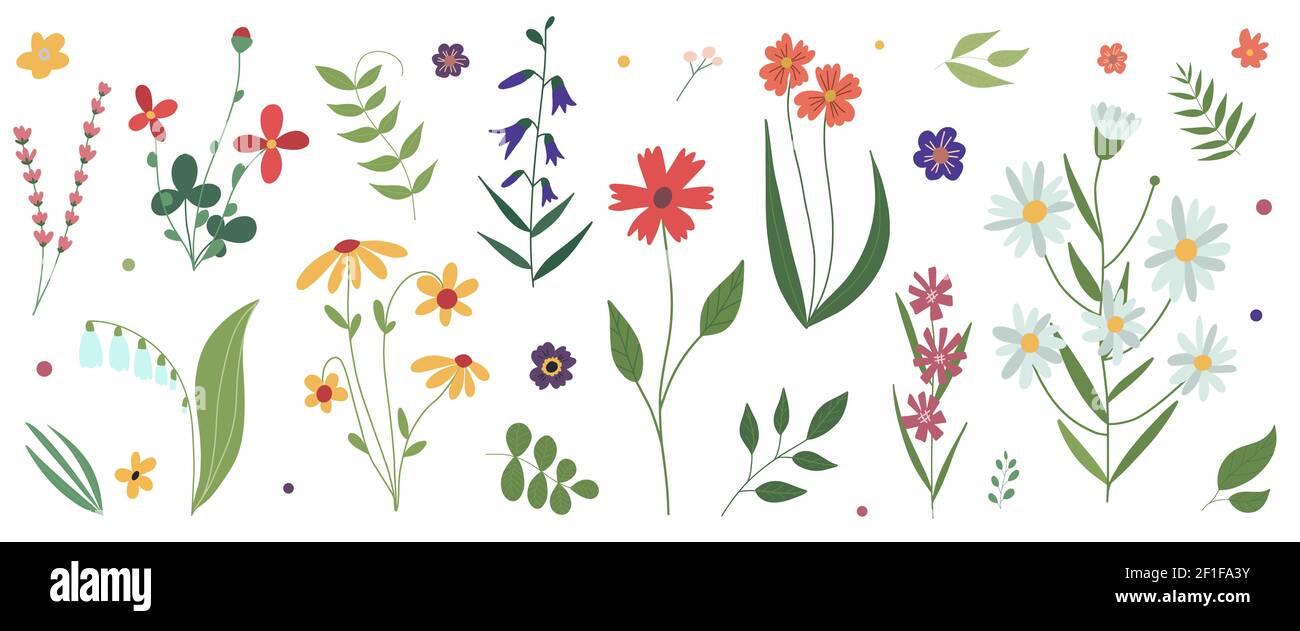 Sammlung von wild blühenden Wiesenblumen. Flache bunte botanische Vektor-Illustration. Stock Vektor
