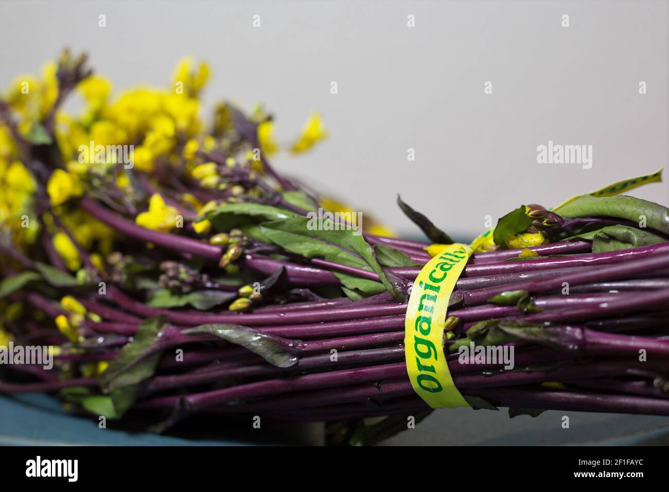 Hon tsai Tai Asiatische Grüns markiert "organisch angebaut". Stockfoto