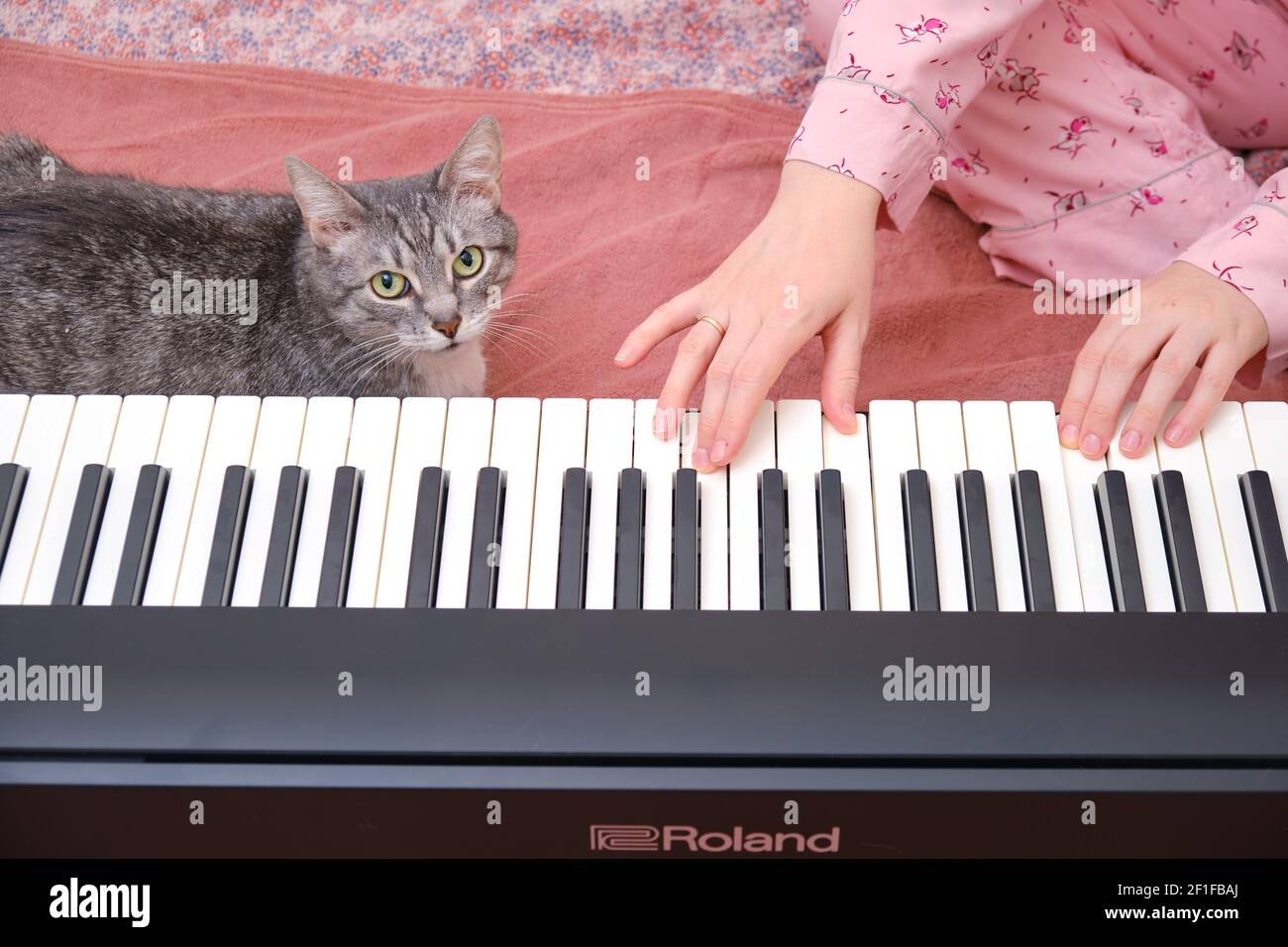 Eine lustige Katze sitzt neben einer Frau spielen elektrische Klavier  Roland - Moskau, Russland, 10.02.2021 Stockfotografie - Alamy