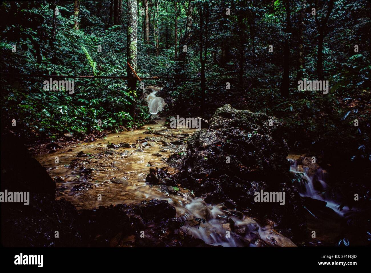 Der AQ-Strom fließt durch den CUC Phuong-Wald, Nordvietnam, Juni 1980 Stockfoto