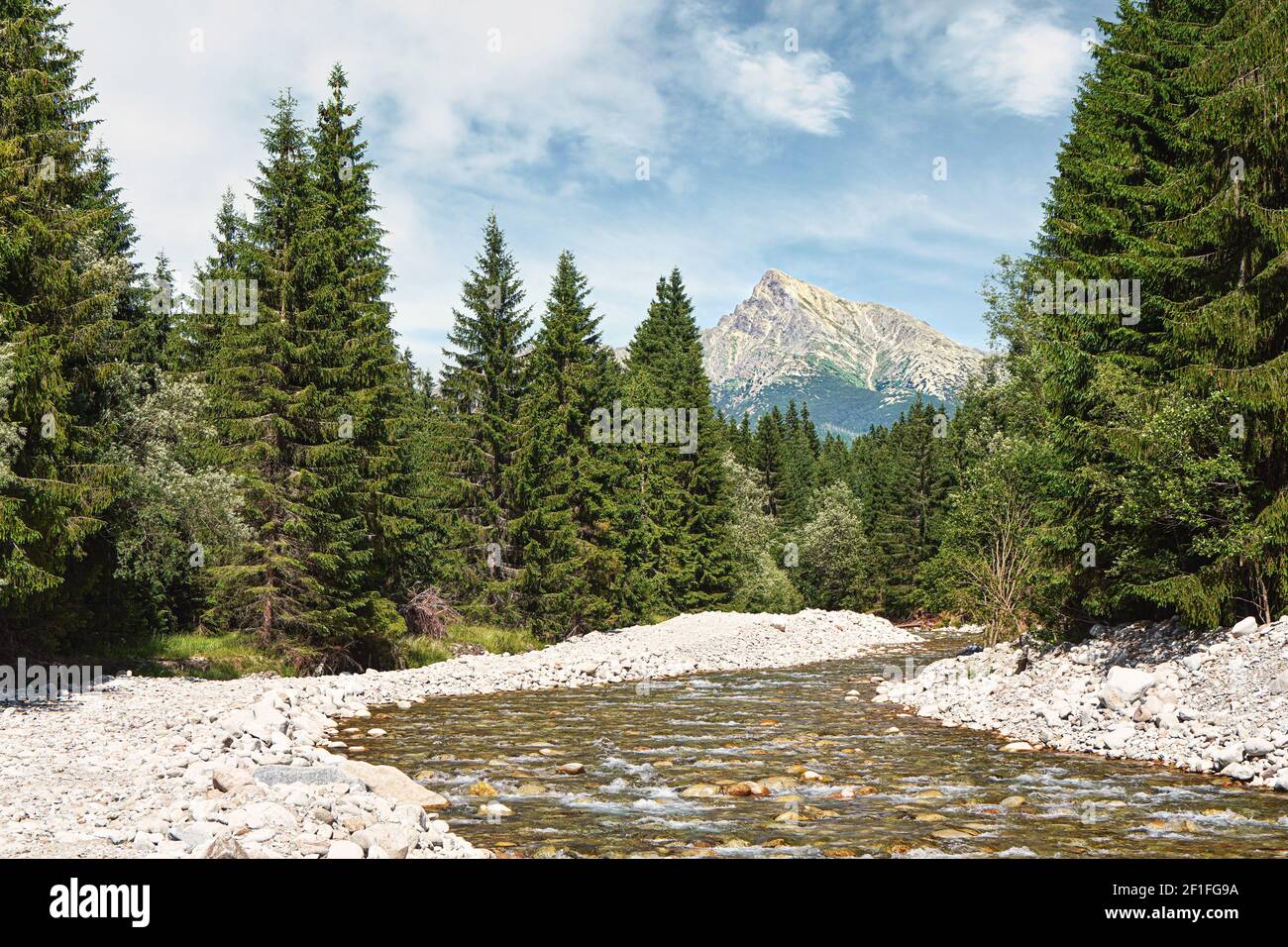 Waldfluss Bela mit kleinen runden Steinen und Nadelbäumen auf beiden Seiten, sonniger Tag, Krivan Gipfel - slowakisches Symbol - in der Ferne Stockfoto