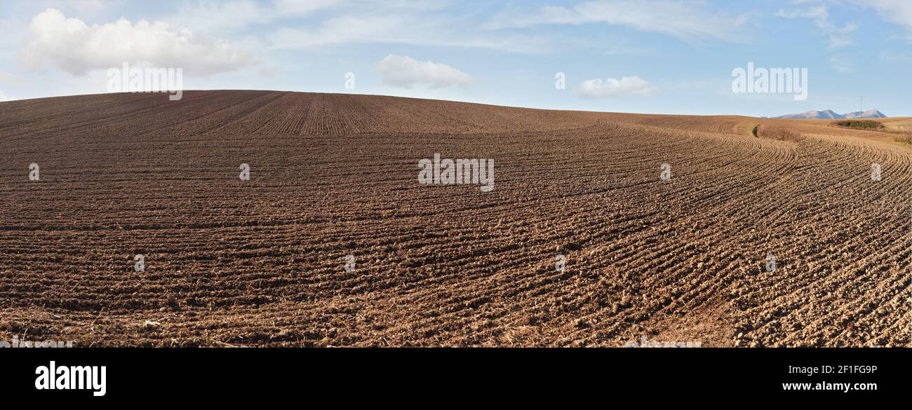 Regelmäßige Kamm- und Furchen-Linien auf leerem Feld im Herbst vorbereitet, hohe Auflösung breites Panorama mit blauem Himmel und Wolken darüber, Landwirtschaft Boden culti Stockfoto