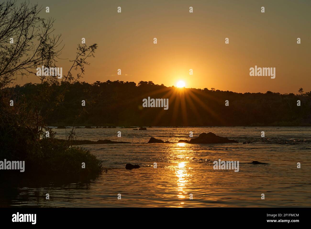 Schöner Sonnenuntergang mit goldenem Licht und dramatischem Himmel über dem Regenwald entlang des Paraguay-Flusses, Rio Paraguay, Brasilien, Südamerika Stockfoto