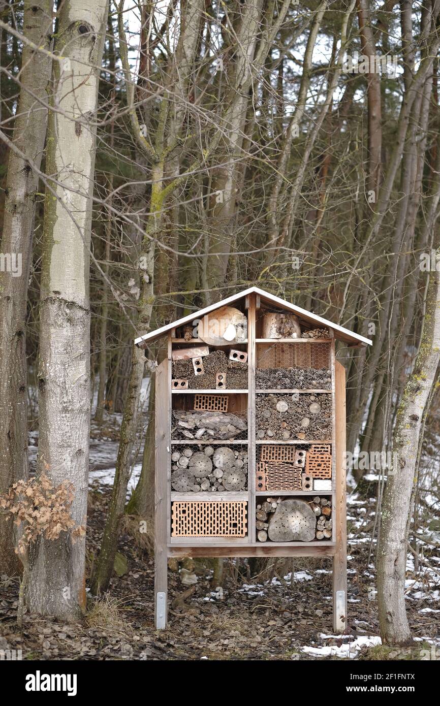 Insektenhaus im Wald.Ökologie und Naturschutz Konzept. Umweltschutz. Insekten in der Natur Stockfoto