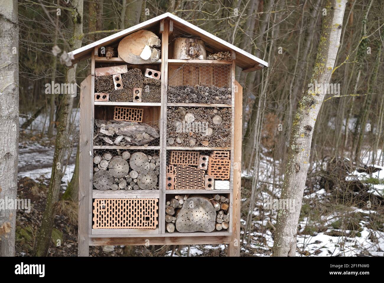 Insektenhaus im Frühlingswald.Ökologie und Naturschutz. Umweltschutz. Insekten in der Natur Stockfoto