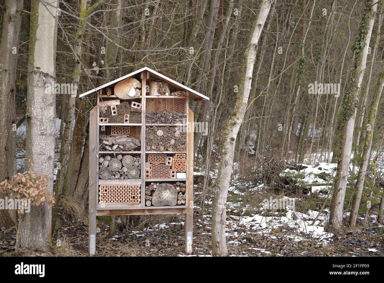 Insektenhaus im Frühlingswald.Ökologie und Naturschutz Konzept. Umweltschutz. Insekten in der Natur Stockfoto