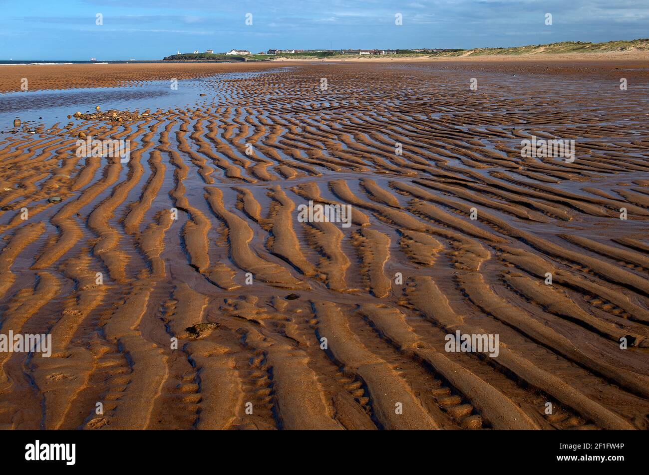 Ebbe am Strand von Seaton Sluice, Seaton Sluice, Northumberland, England, Großbritannien Stockfoto