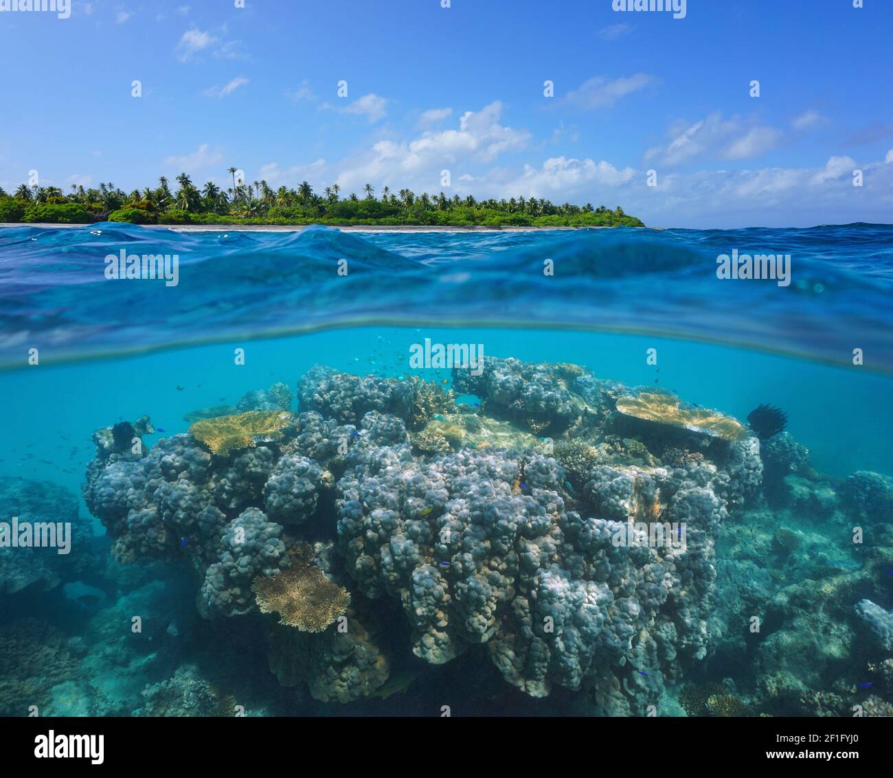 Korallenriff und tropische Insel, Seestück über und unter Wasser, Pazifischer Ozean, Ozeanien Stockfoto