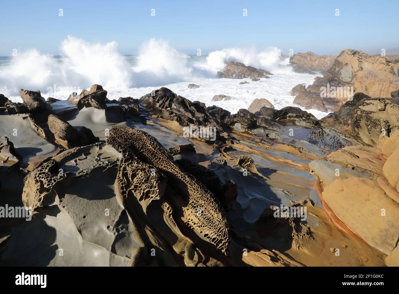 Tafoni mit Wild Surf, Salt Point State Park, Sonoma County, Kalifornien Stockfoto