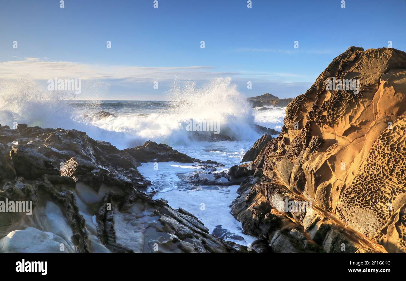 Tafoni mit Wild Surf, Salt Point State Park, Sonoma County, Kalifornien Stockfoto