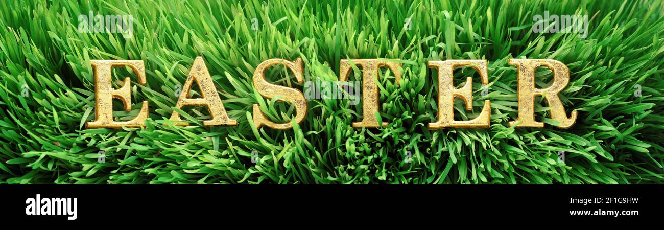 Frisches grünes Gras mit dem Wort Ostern in leuchtendem Gold Briefe Stockfoto