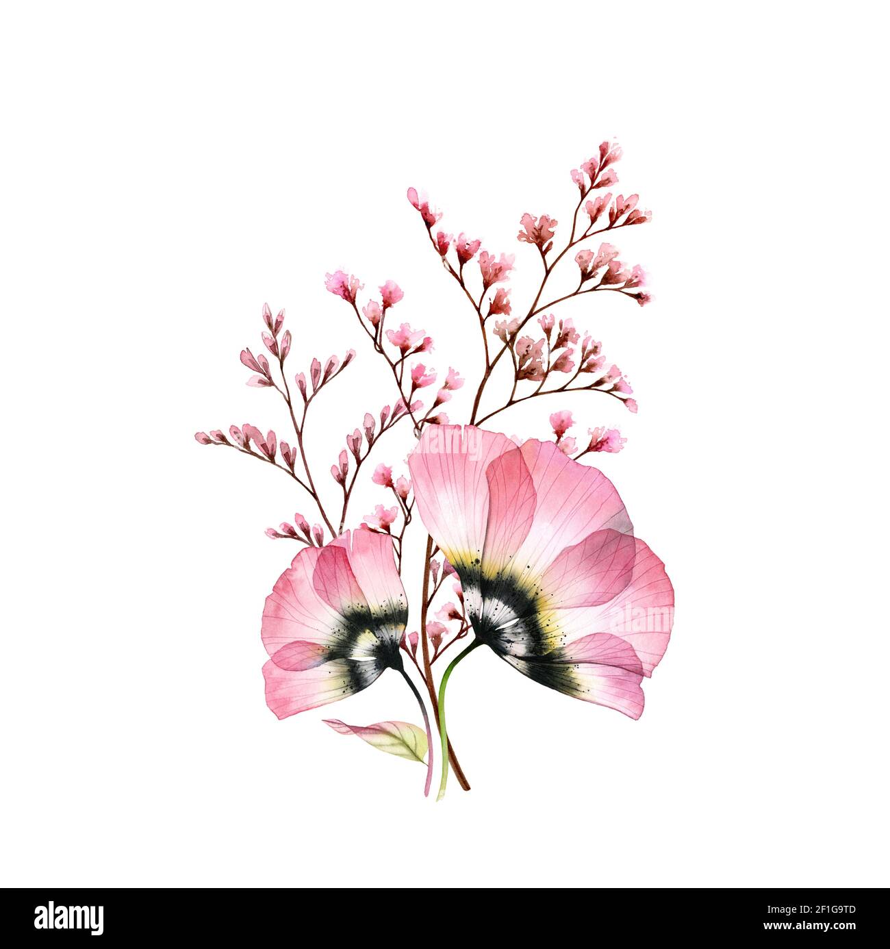 Aquarell-Bouquet. Transparente rosa Anemonen mit zarten Ästen isoliert auf weiß. Handbemalte Vintage-Kunstwerke. Botanische Illustration für Karten Stockfoto