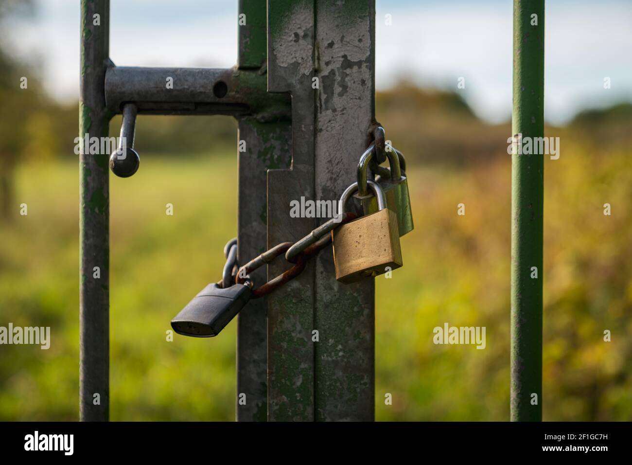 Eine Eisenkette mit zwei Vorhängeschlössern an einem Tor Stockfoto