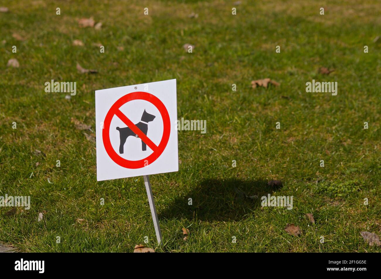 Keine Hunde erlaubt Schild befindet sich auf einem grünen Gras in Ein öffentlicher Park in der Schweiz Stockfoto