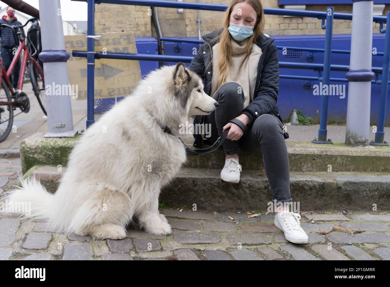 Ein weißer Hund sitzt neben ihrer Besitzerin in Gesichtsmaske und weißen Trainerschuhen, schwarzen Jeans, sitzt auf dem Bürgersteig mit Metallgeländer in blau lackiert Stockfoto