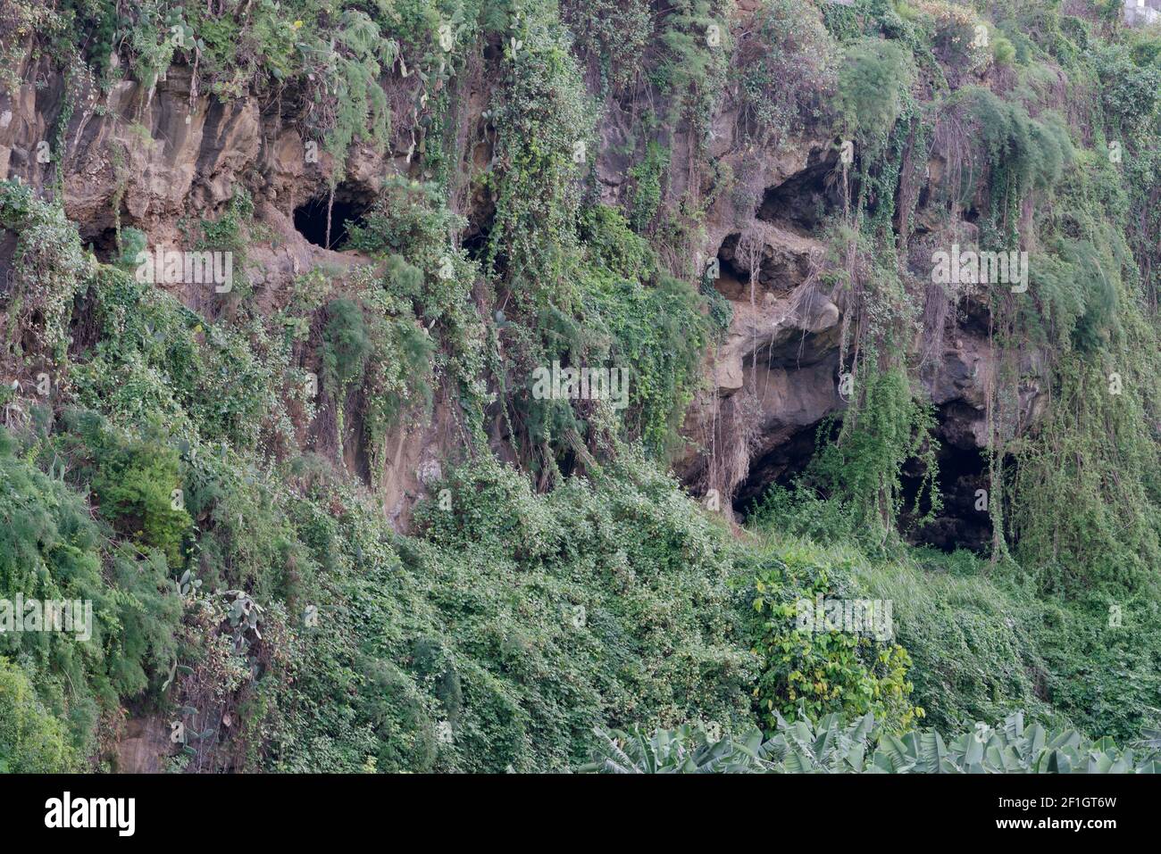 Berghöhlen von La Palma Stockfoto