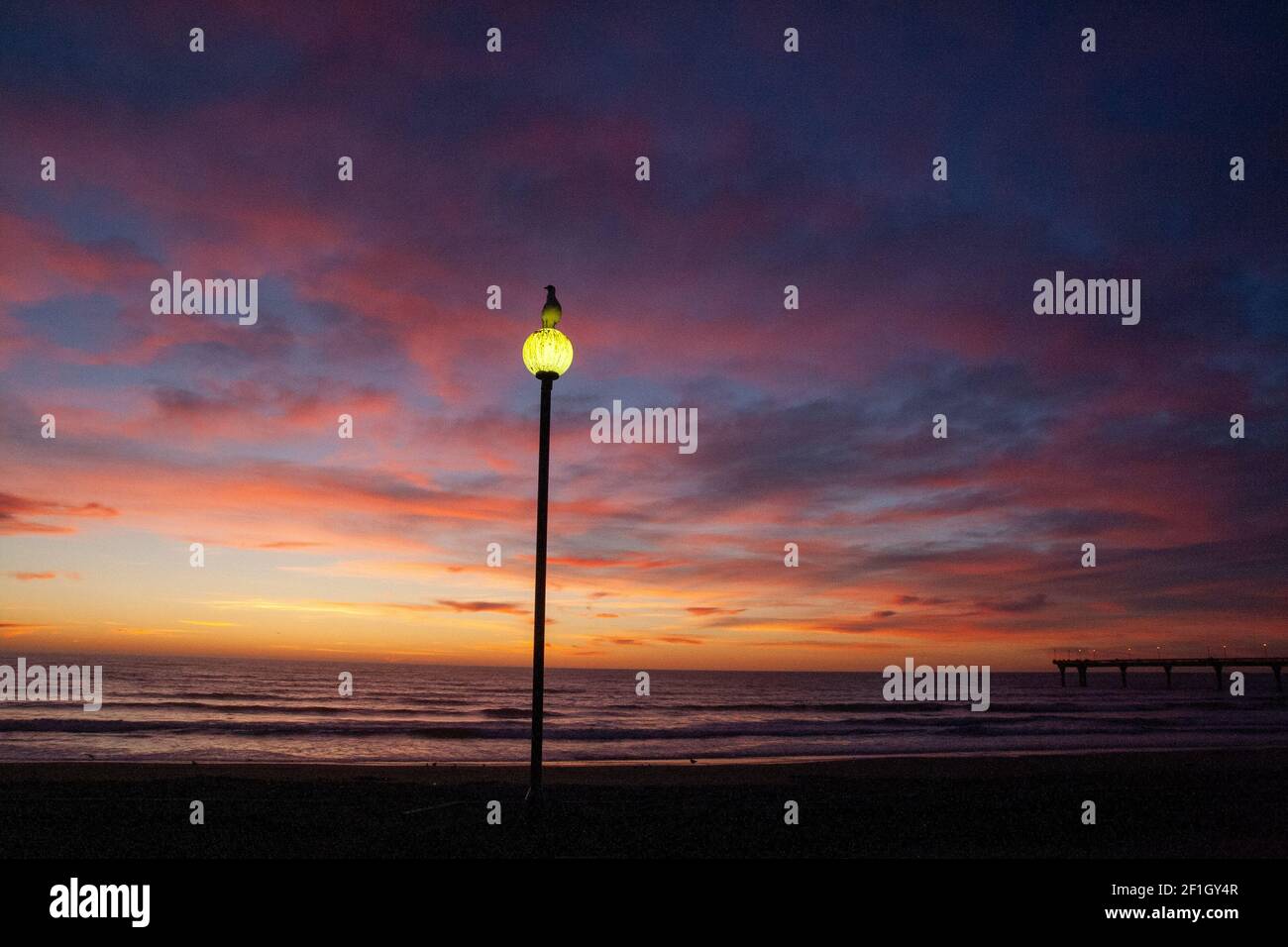 Dämmerung direkt vor Sonnenaufgang am Horizont des Pazifischen Ozeans, Seagul an der Straßenlaterne, Civil Dawn am New Brighton Beach, Christchurch in Neuseeland Stockfoto