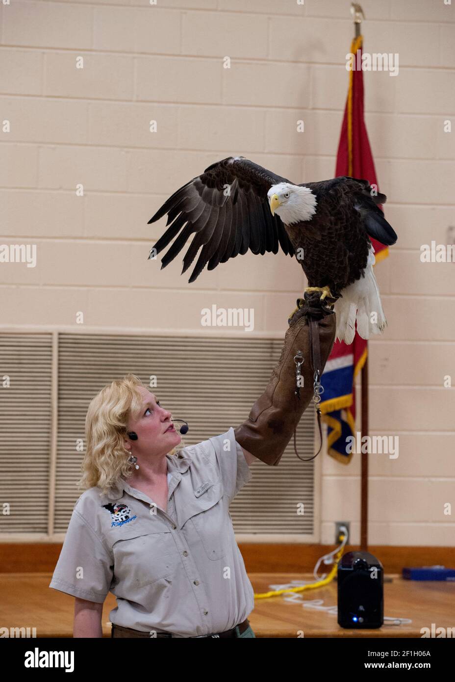 Dale Stokes of Wings to Soar präsentiert Atza Yazhi, einen behinderten Weißkopfseeadler mit nur einem Flügel, bei einem pädagogischen Raptor-Programm, Reelfoot Lake State Park Stockfoto